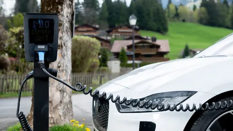 Pico E-Ladestation in der Natur mit einem Auto, das am aufladen ist.